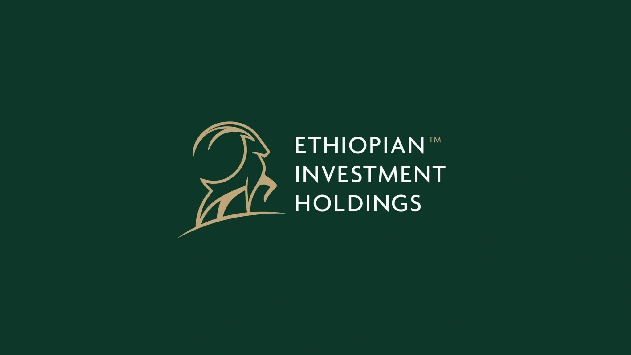 Ethiopian Investment Holdings Reports 88% Profit Growth in 2024/25, Sets Bold Plans for 2025/26