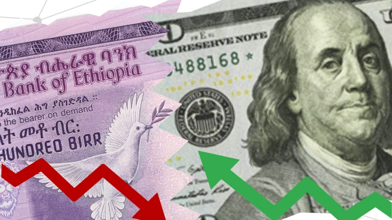 Ethiopian Birr Weakens to 148.10 per Dollar in October 2025 NBE Forex Auction
